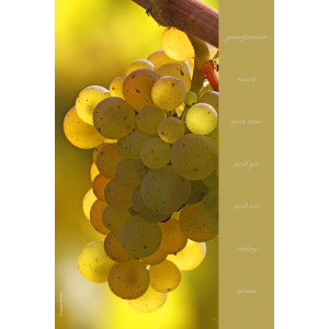 Essuie-mains en evolon collection vignes - d&eacute;cor 1