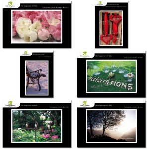 Lot de 6 cartes postales - Photos Fr&eacute;d&eacute;ric Engel - VOEUX 1