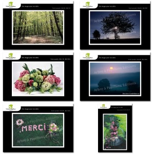 Lot de 6 cartes postales - Photos Fr&eacute;d&eacute;ric Engel - VOEUX 2