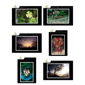 Lot de 6 cartes postales - Photos Fr&eacute;d&eacute;ric Engel - VOEUX 3