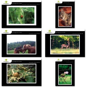 Lot de 6 cartes postales - Photos Fr&eacute;d&eacute;ric Engel - ANIMAUX 1