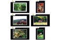 Lot de 6 cartes postales - Photos Frédéric Engel - ANIMAUX 1