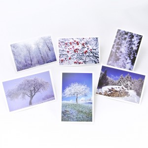 Lot de 6 cartes postales - Photos Fr&eacute;d&eacute;ric Engel - HIVER 1