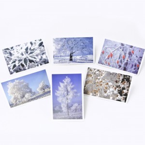 Lot de 6 cartes postales - Photos Fr&eacute;d&eacute;ric Engel - HIVER 2