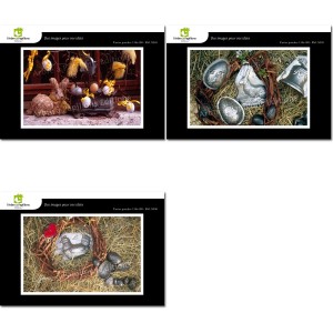 Lot de 3 cartes postales - Photos Fr&eacute;d&eacute;ric Engel - P&Acirc;QUES