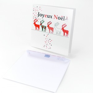 Carte double - Dessin Marion Muller - NO&Euml;L