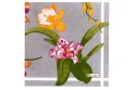 Paquet de 20 serviettes en papier "Orchidées"